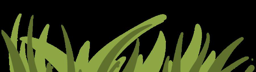 DƬ